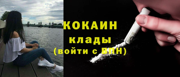 гидра Белокуриха