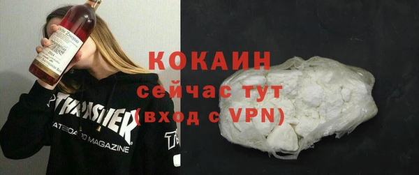 гидра Белокуриха
