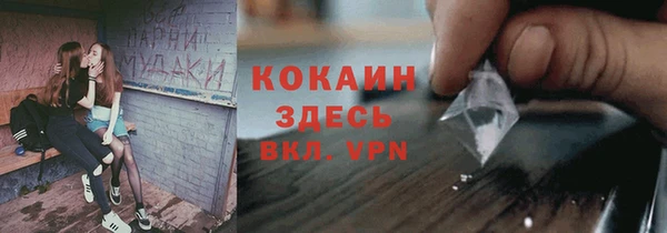 гидра Белокуриха