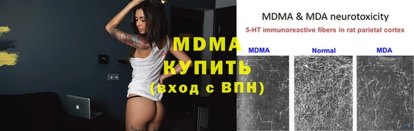 гидра Белокуриха