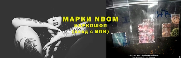 гидра Белокуриха