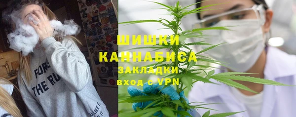 гидра Белокуриха