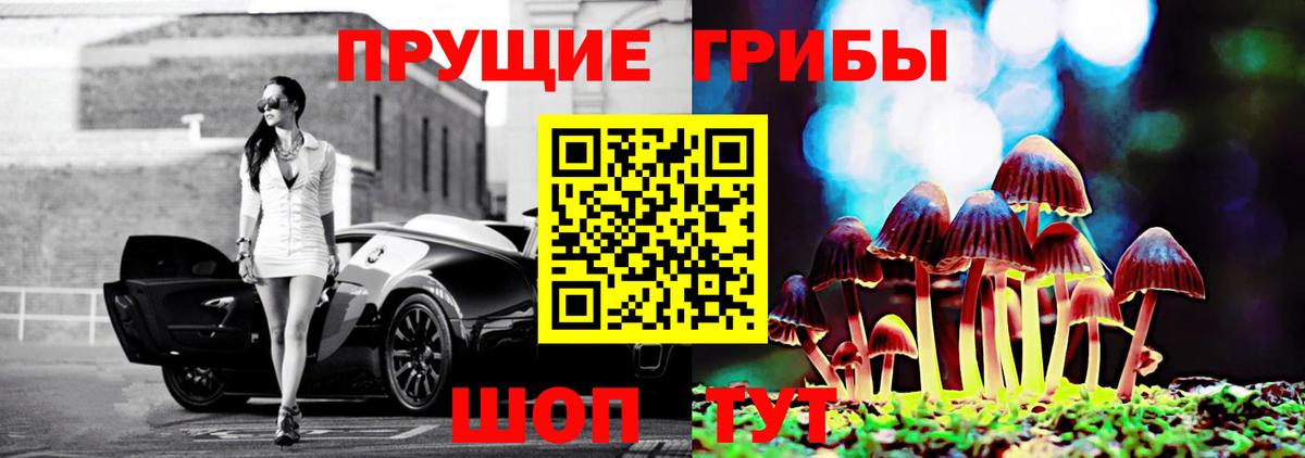 Псилоцибиновые грибы мицелий Саяногорск